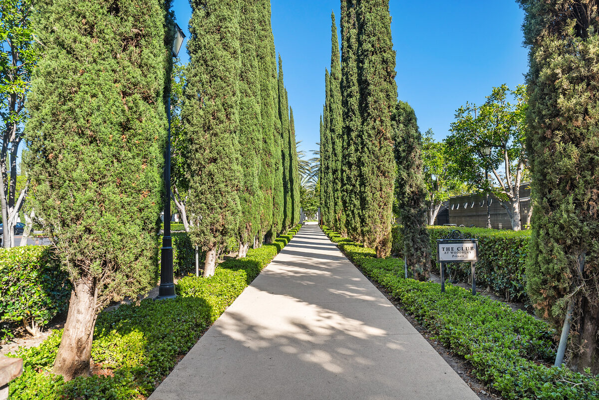 Tree-lined paseo